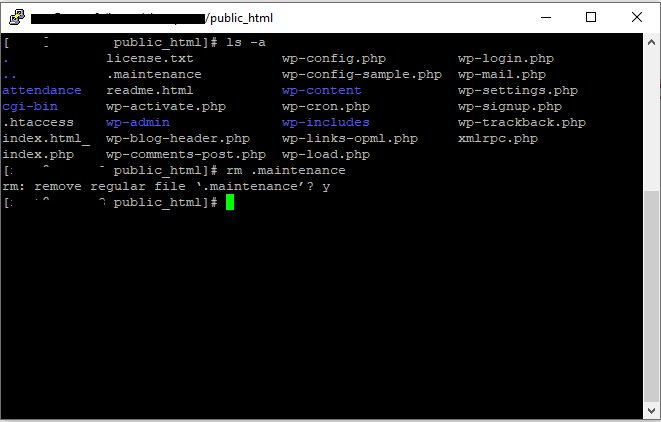 delete maintenance file using ssh